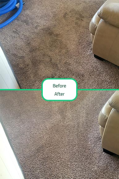 Carpet Cleaning - Before After