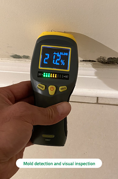 Mold Testing & Inspection